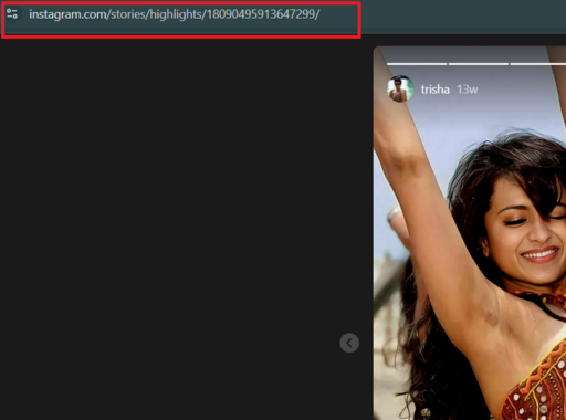Copy Instagram Highlights URL