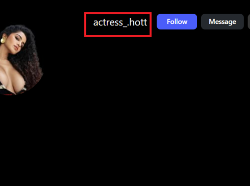 Copy Instagram Username