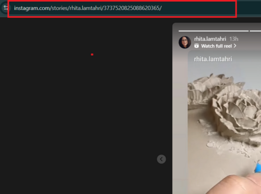 Copy Instagram Story URL